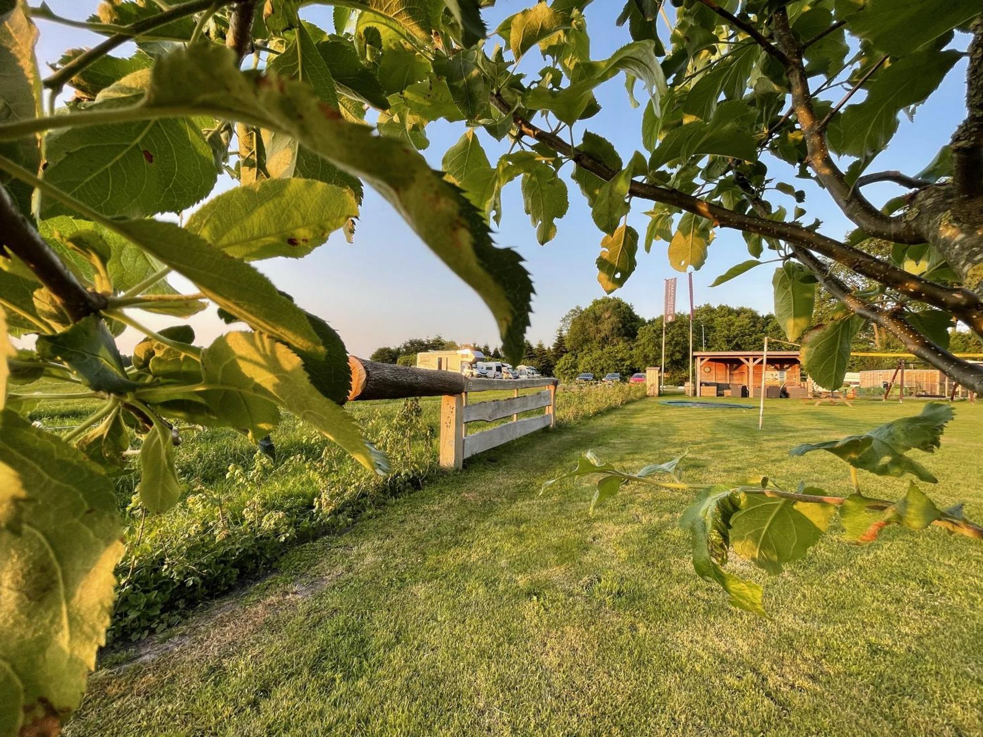 De Johanneshoeve Westerhaar-Vriezenveensewijk Dış mekan fotoğraf